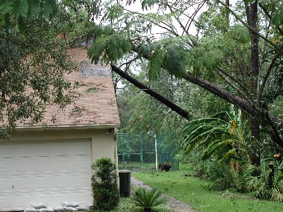 Trees fallen on a house